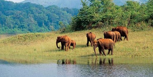 Important Tourist Places in Kodaikanal